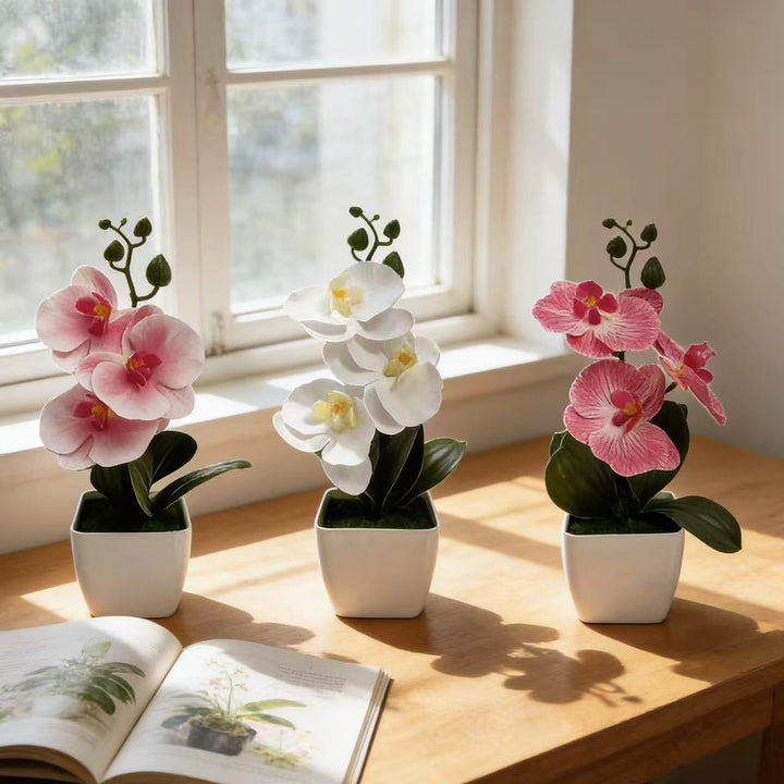 Realistic Faux Orchid Arrangement
