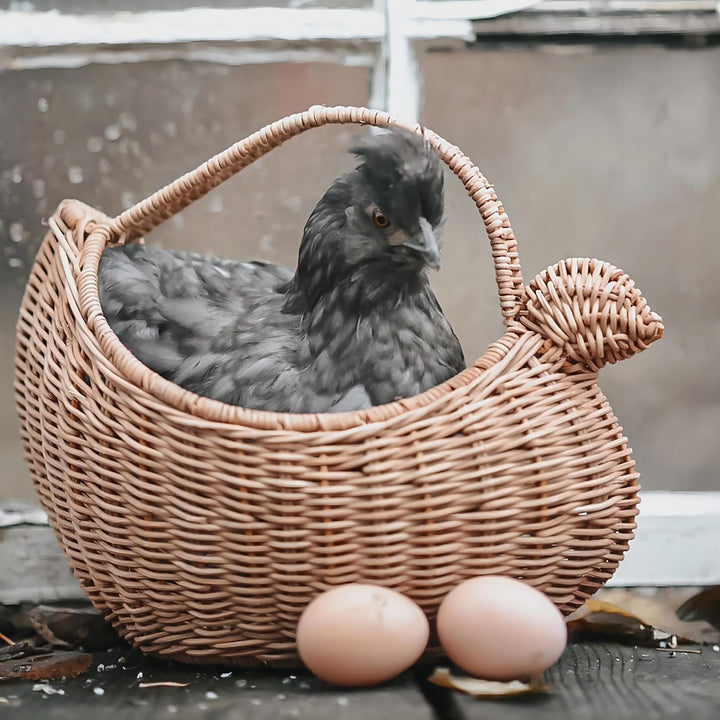 Decorative Wicker Stornfield