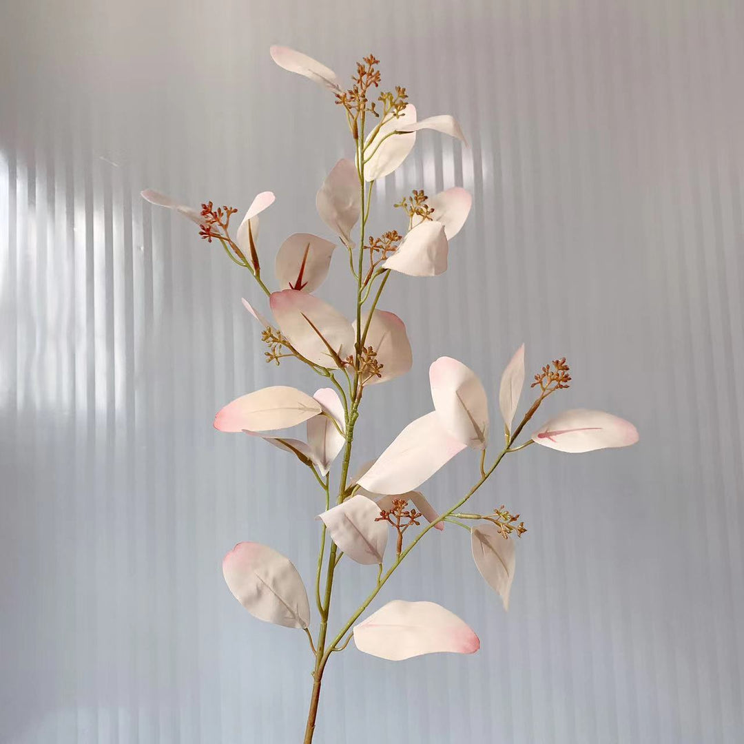 Natural Eucalyptus Stem