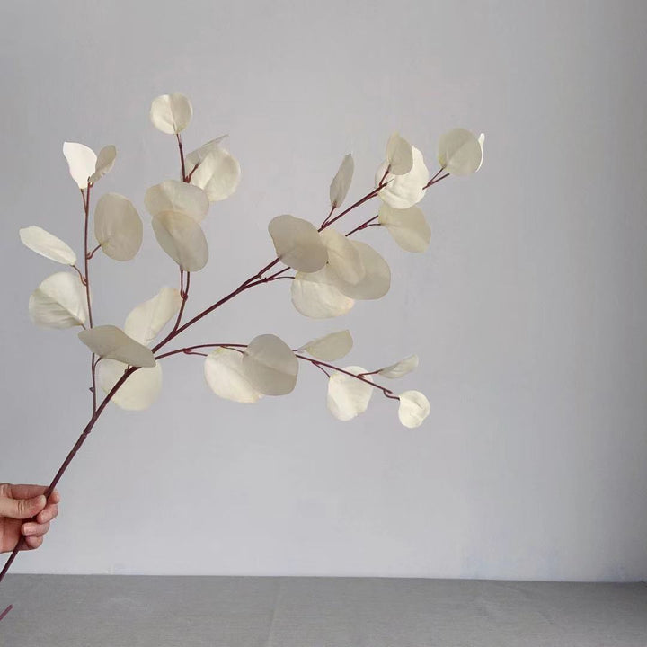 Decorative Eucalyptus Stem