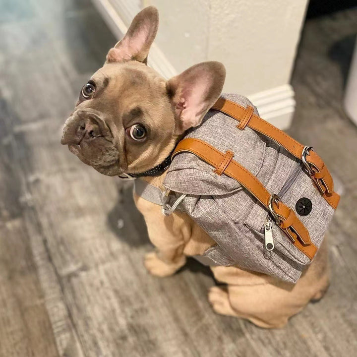 Unisex practical pet backpack with safety closure Stornfield