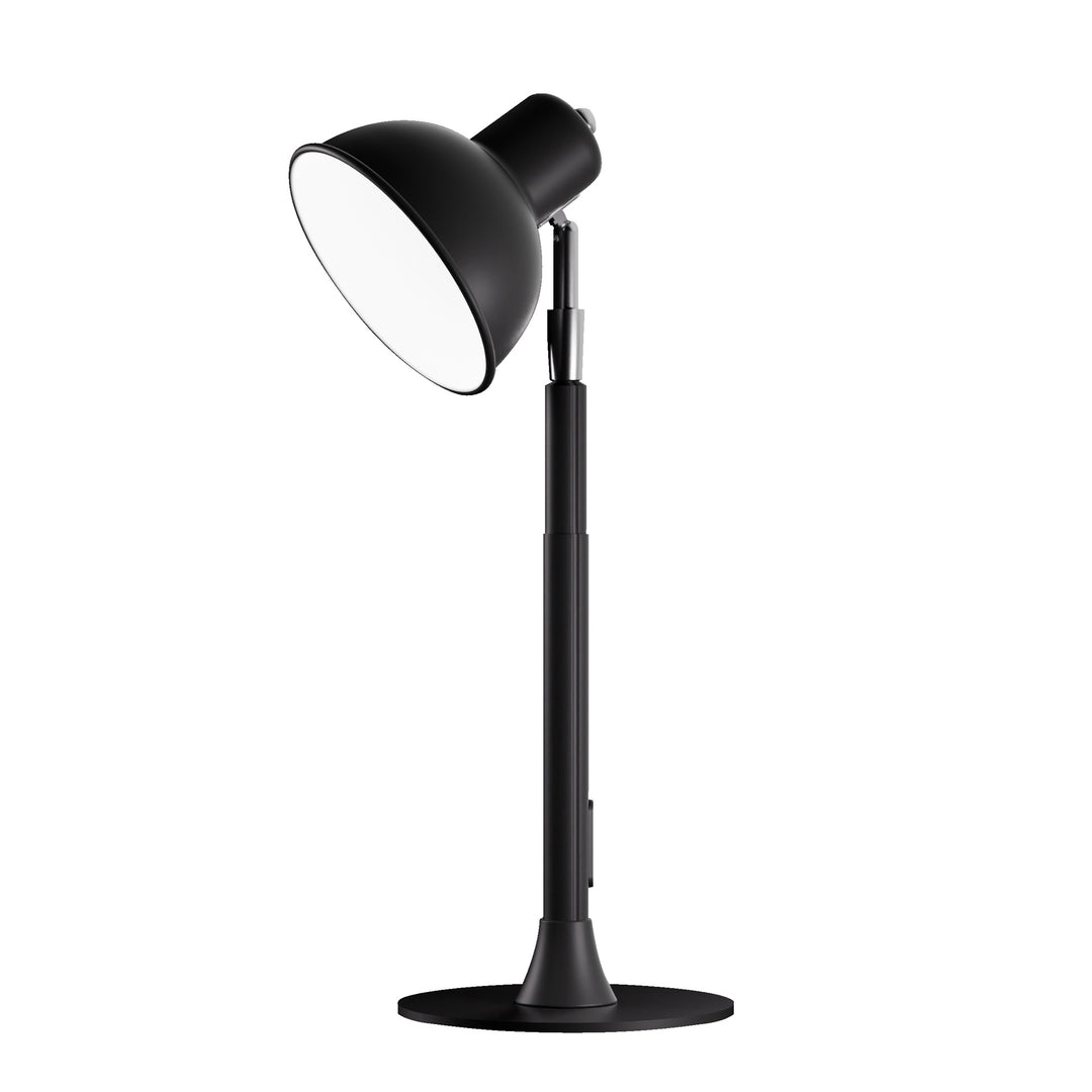 Adjustable Floor Lamp