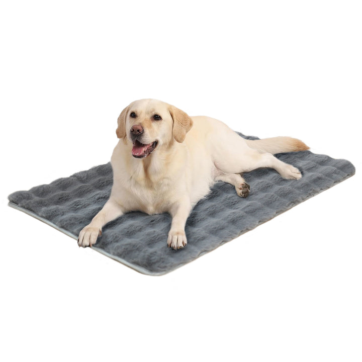 Plush Dog Bed