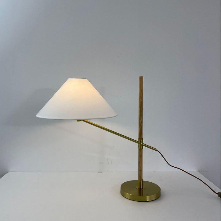 Modern Adjustable LED Desk Lamp