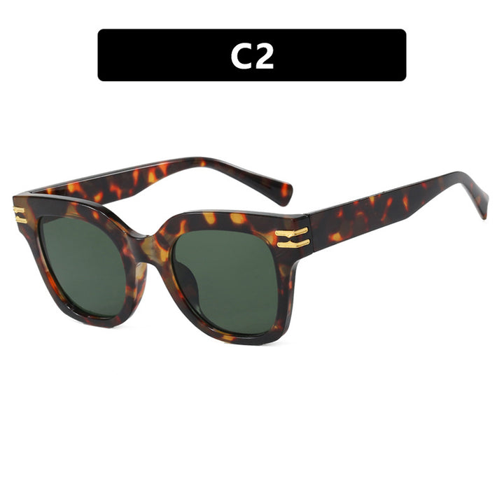 Women's stylish sunglasses with elegant accents Stornfield