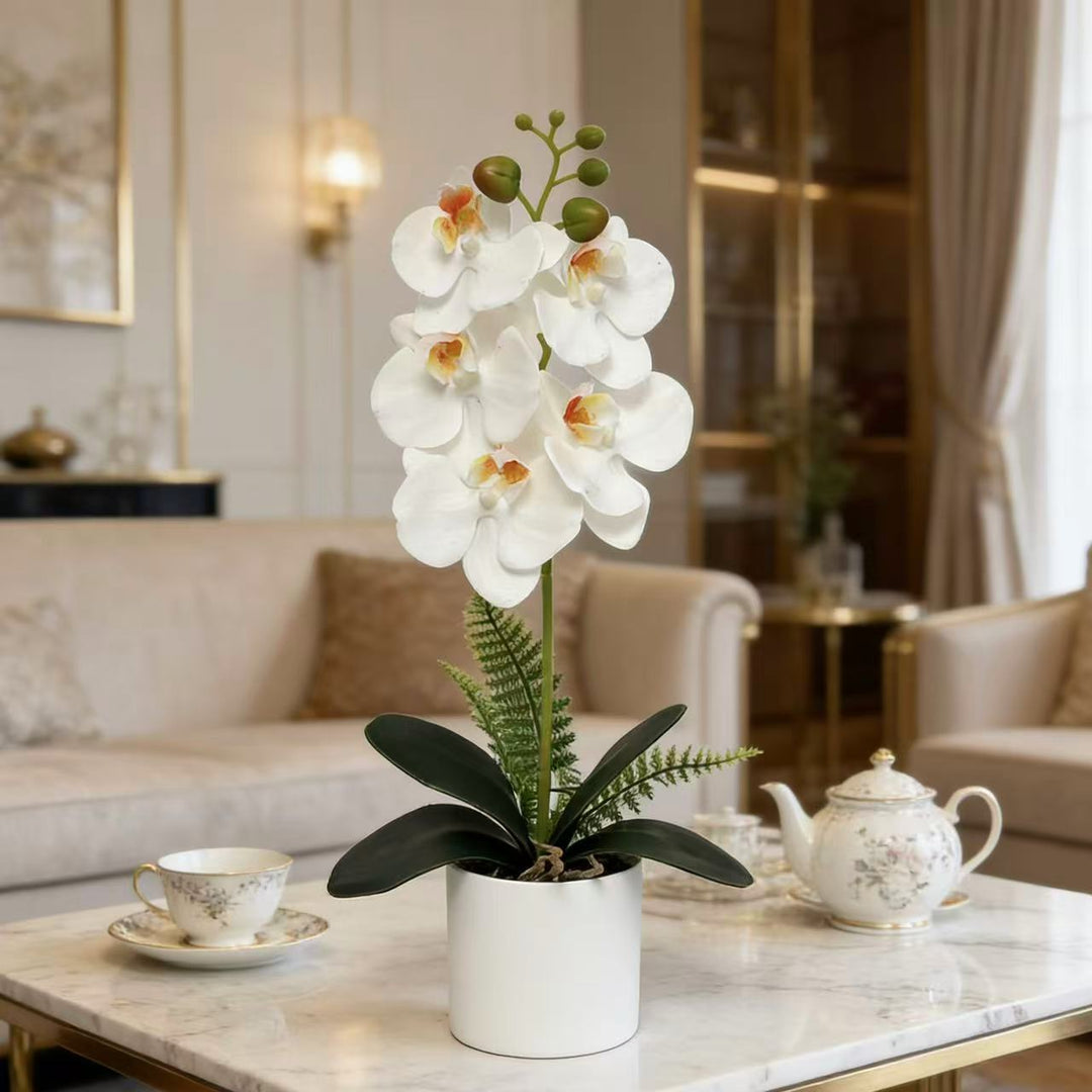 Artificial Orchid Plant for Decorative Indoor Display