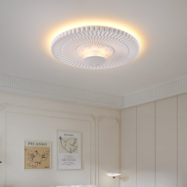 Decorative Ceiling Light