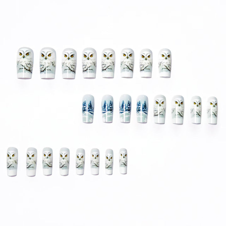 Artificial nails with owl design Stornfield