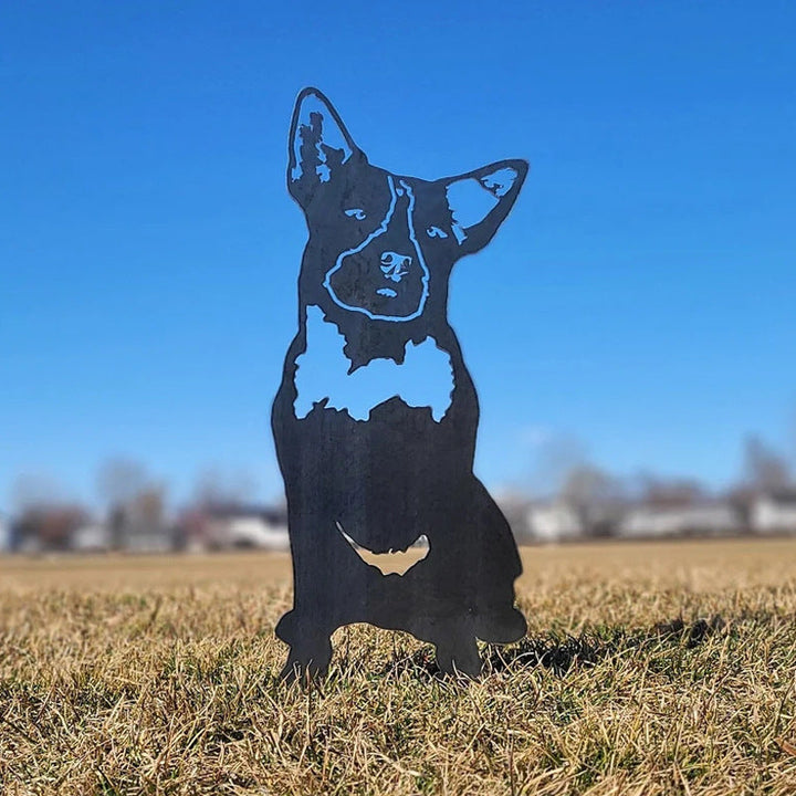 Cairn Terrier | Stornfield