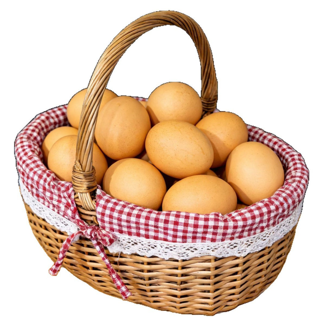 Women's braided basket with decorative fabric cover and practical carrying handles Stornfield