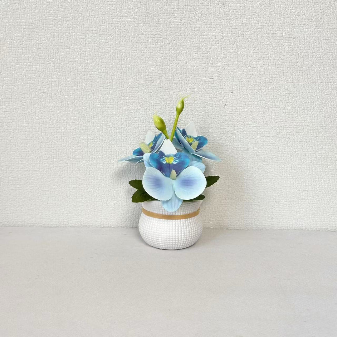 Decorative Potted Orchid Arrangement for Home Decor