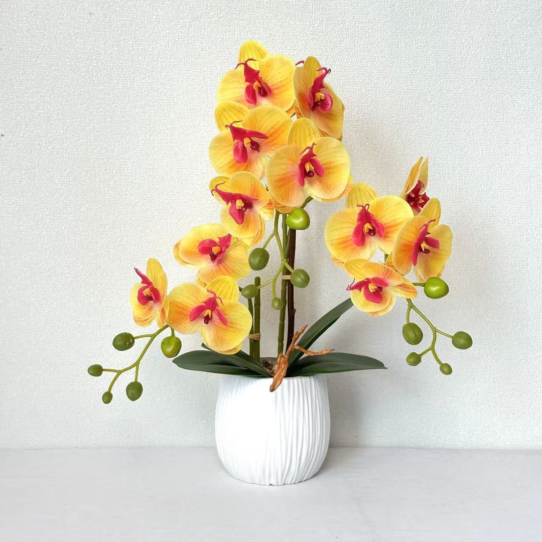 Realistic Orchid Floral Arrangement