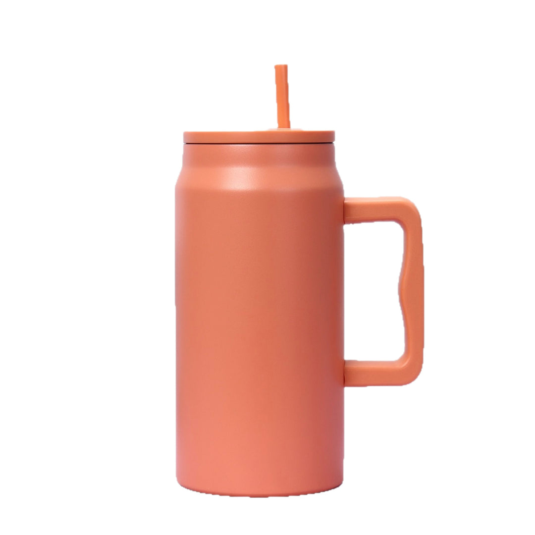 Ladies stylish insulated cup with removable straw Stornfield
