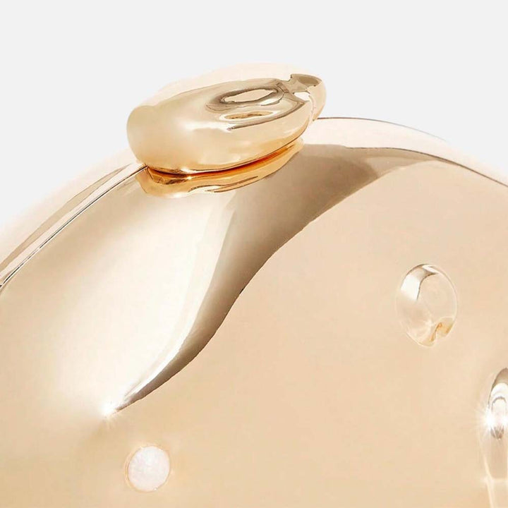 Sculptural Metallic Acrylic Clutch
