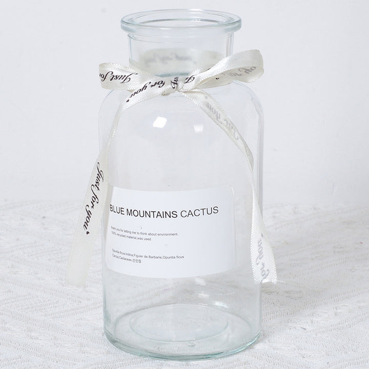 Decorative Eco-friendly Glass Vase