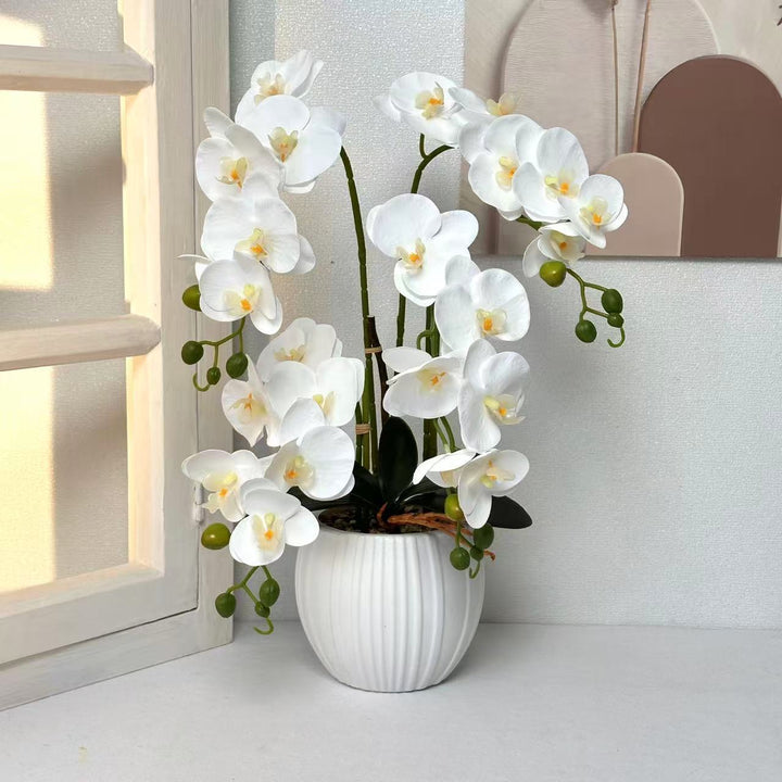 Elegant Orchid Flower Arrangement