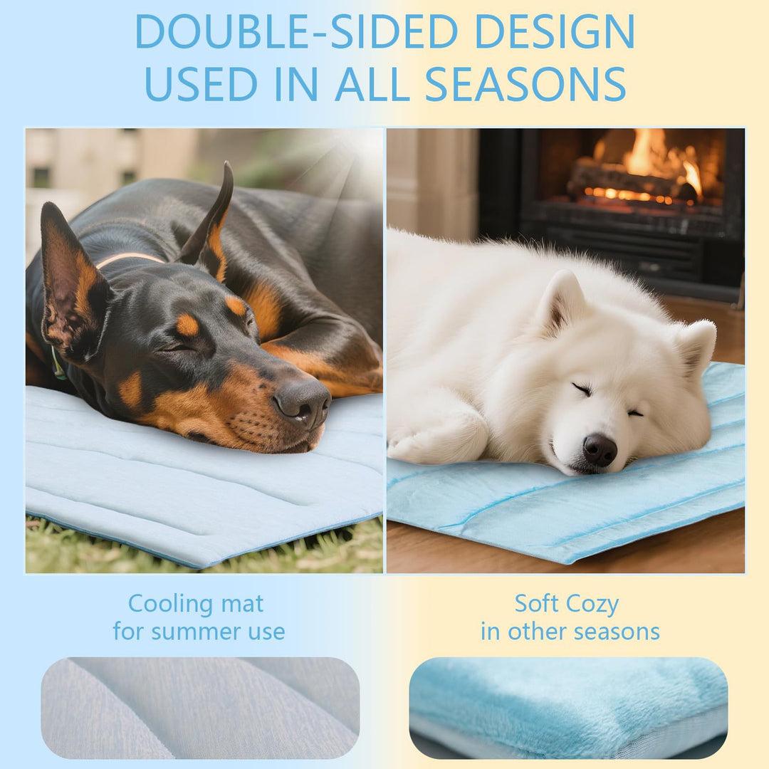Tier Snuggle Blanket Stornfield
