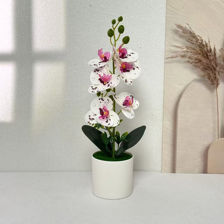 Elegant Orchid Floral Centerpiece