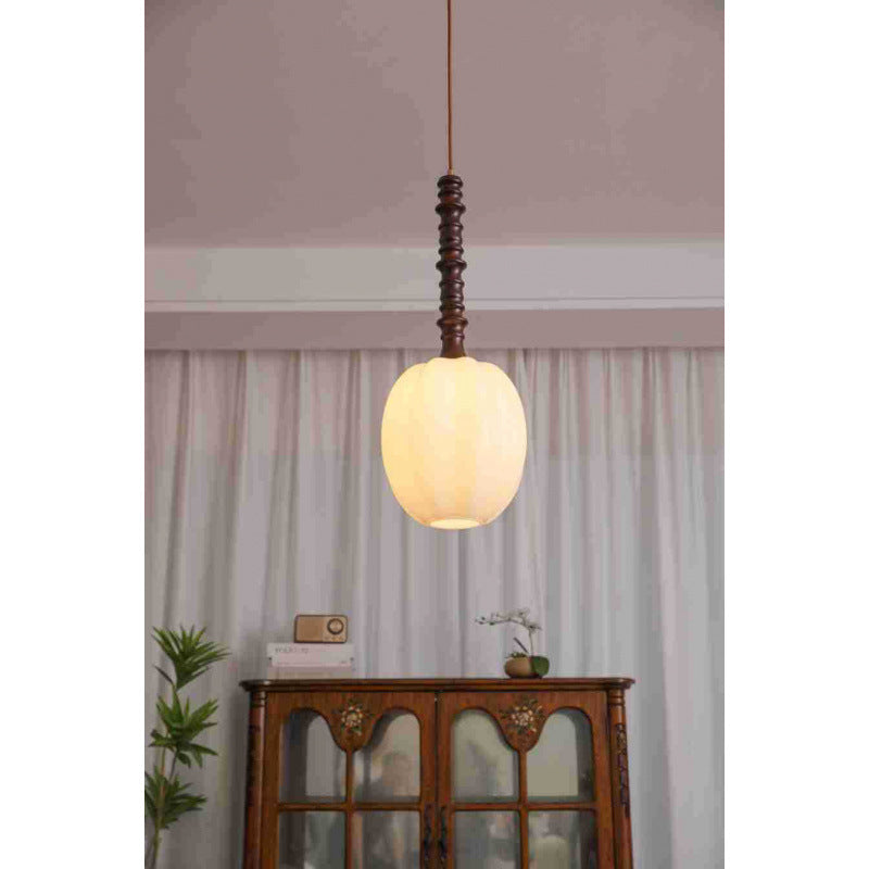 Modern Elegant Hanging Pendant Light