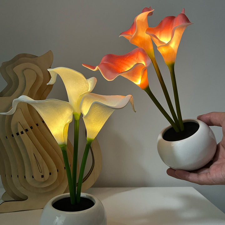 Elegant Decorative