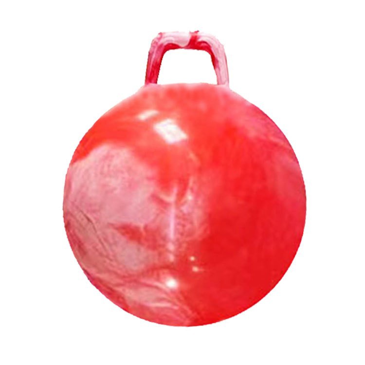Unisex play ball with ergonomic carrying handle Stornfield