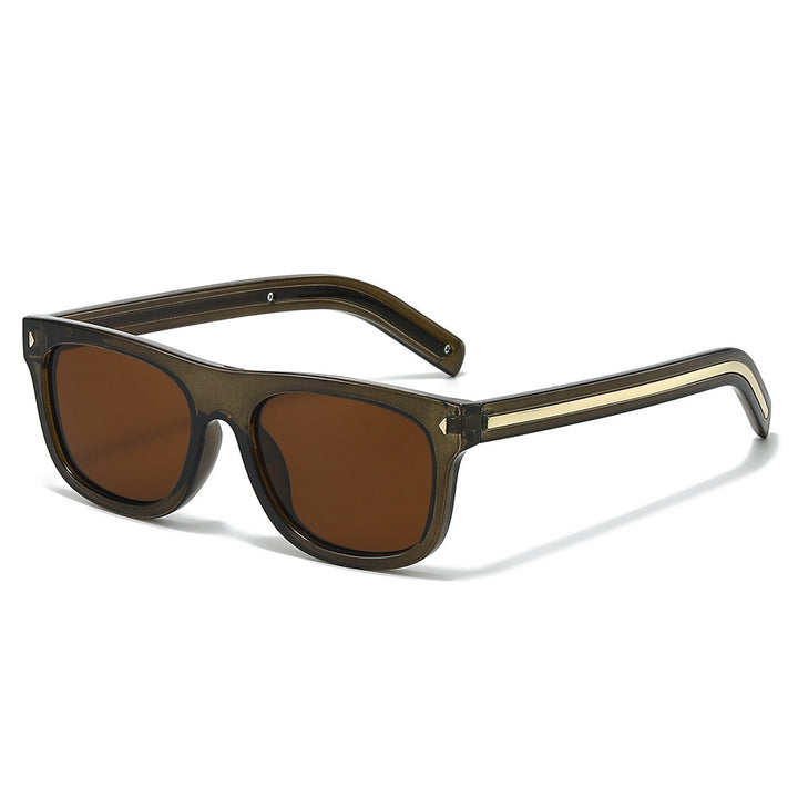 Classic Tortoise-Style Sunglasses Stornfield