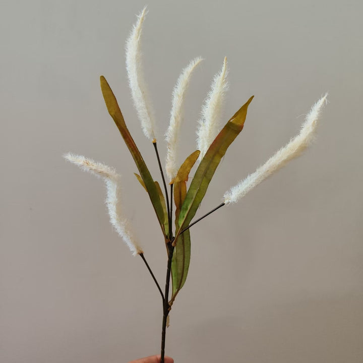 Decorative Pampas Grass Stem