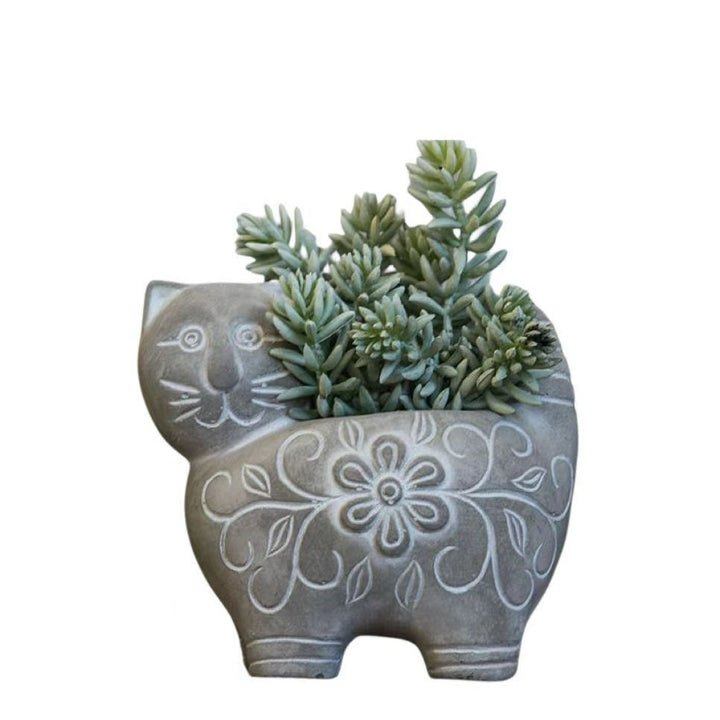 Decorative Plant Stornfield