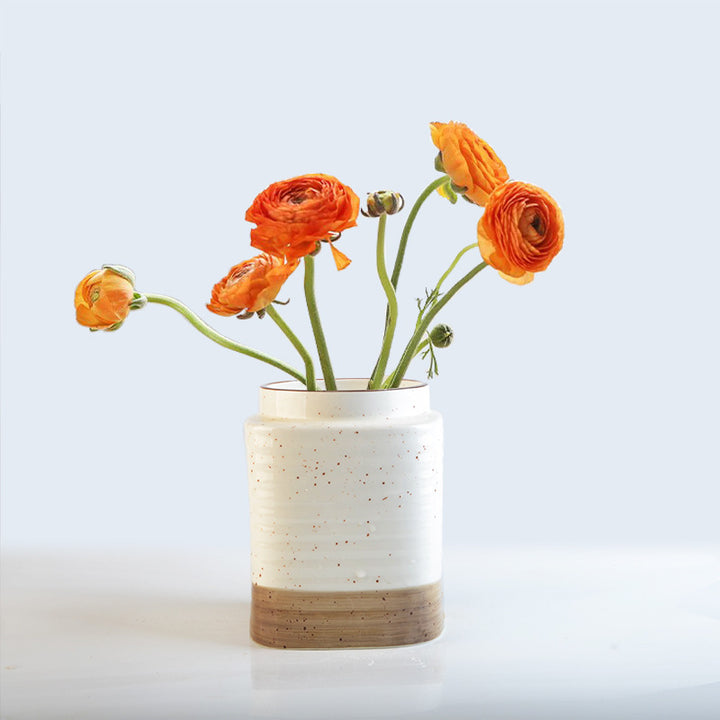 Decorative ceramic container Stornfield