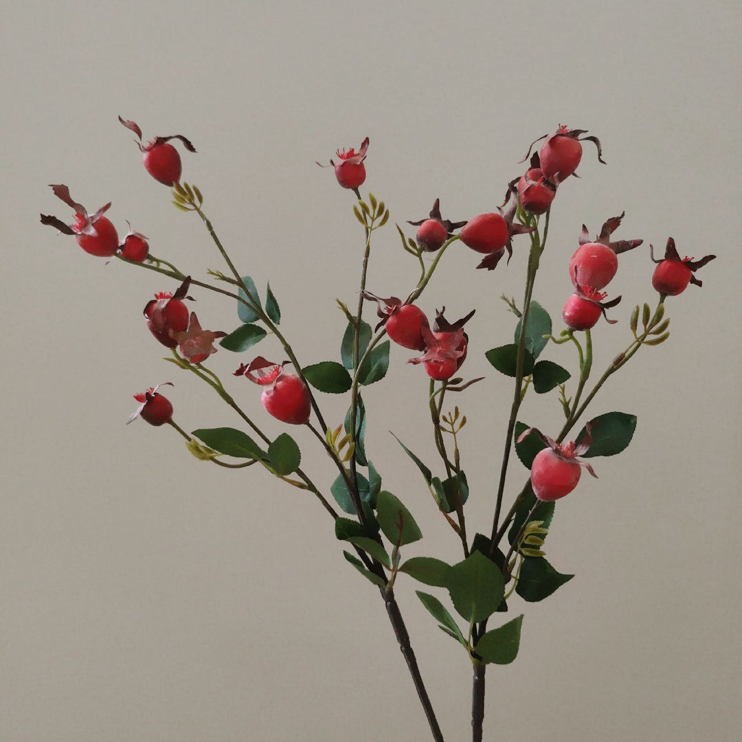 Decorative Natural Dried Floral Stem