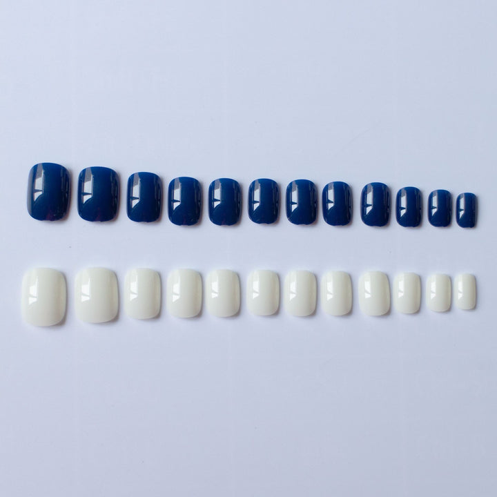 Elegant Dual Color Nail Art Set