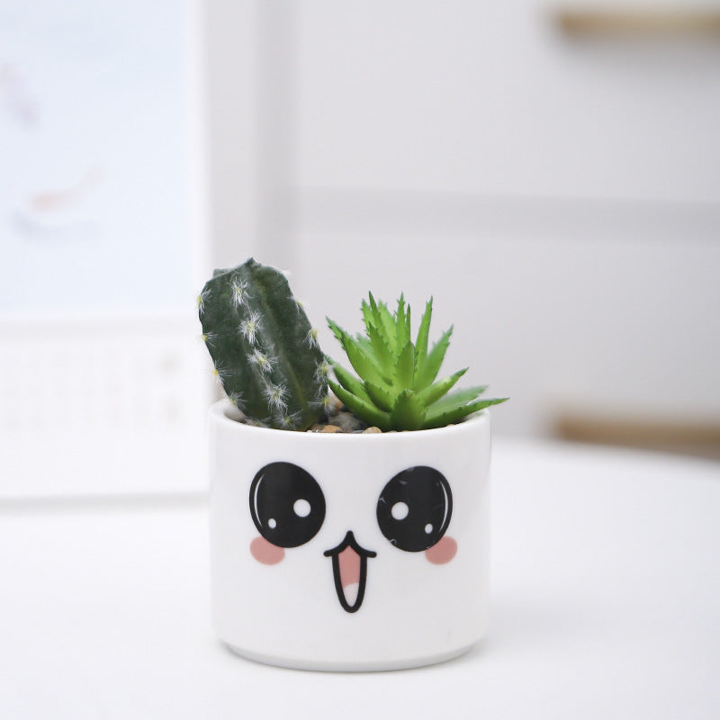 Cute Animal-Themed Succulent Planter Stornfeild