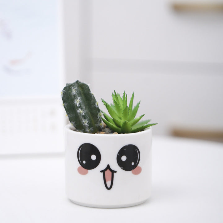 Cute Animal-Themed Succulent Planter Stornfeild