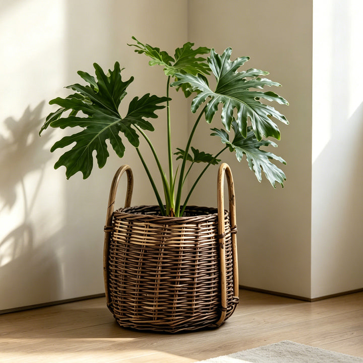 Natural woven storage basket Stornfield
