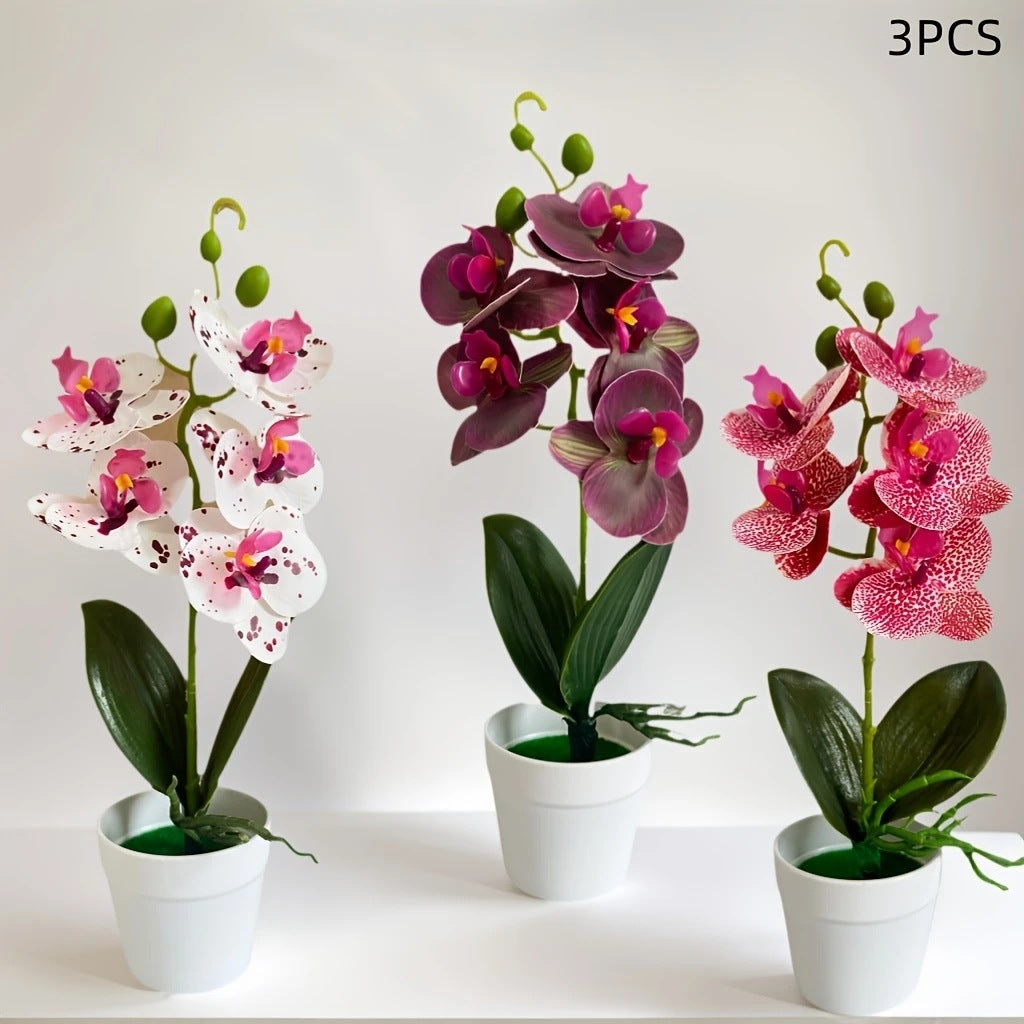 Luxurious Decorative Orchid Flower Arrangement