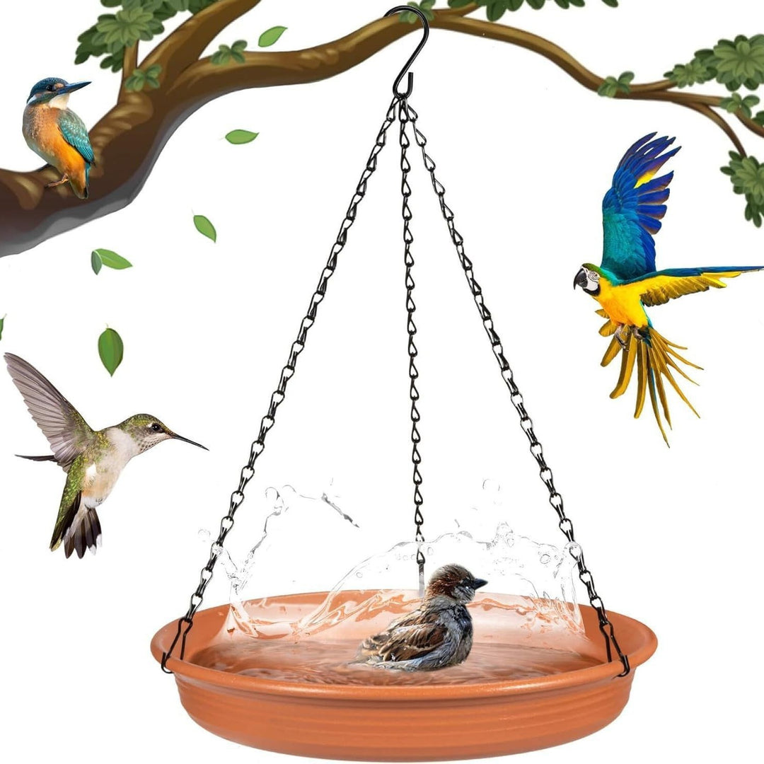 Bird Bath and Feeder Stornfield