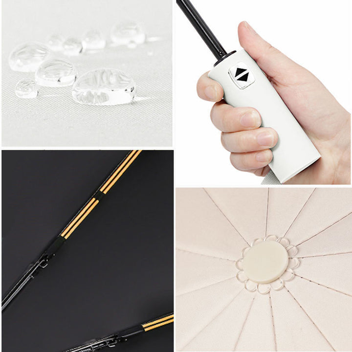 Women's Automatic Wind-Resistant Umbrella Stornfield