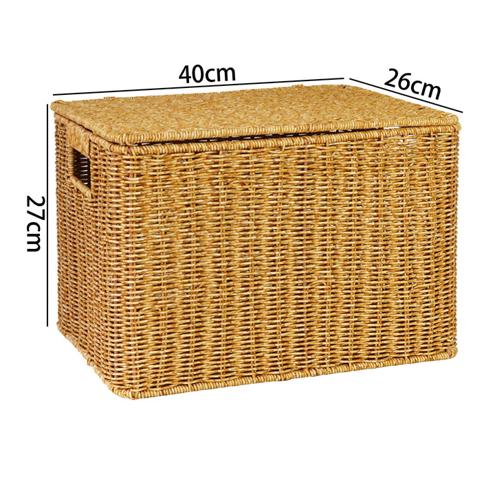 Handwoven Wicker Storage Chest Stornfield