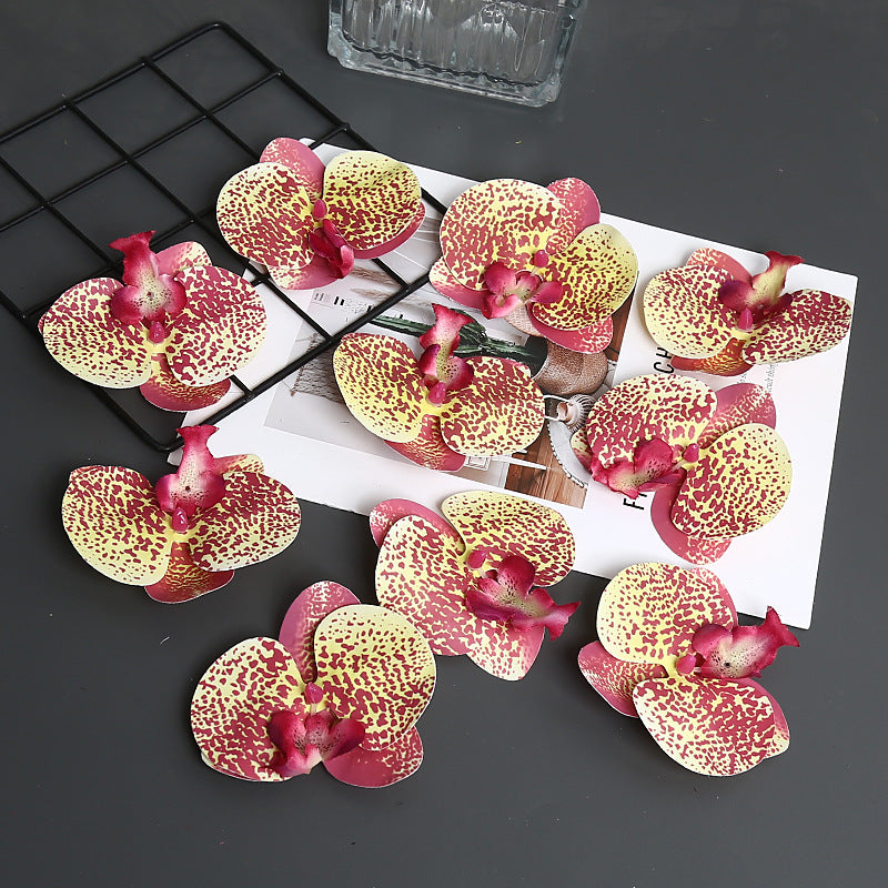 Decorative Orchid Petal for Home Decor Display