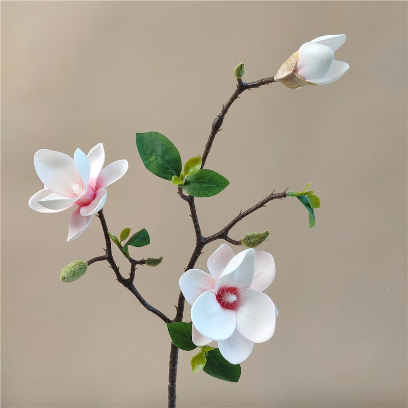 Elegant Silky Magnolia Flower Branch
