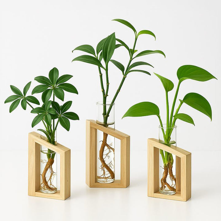 Elegant Glass Plant Holder Set for Home Decor
