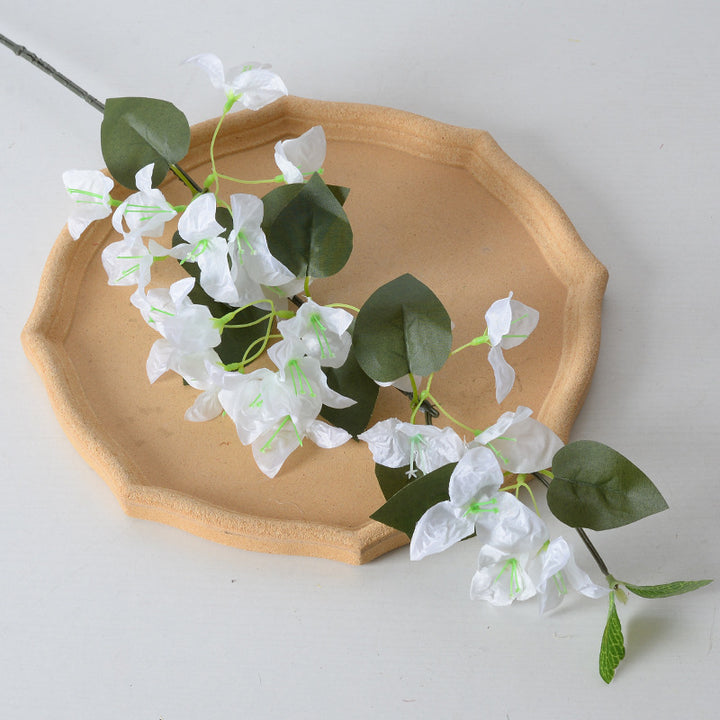 Decorative Bougainvillea Floral Vine