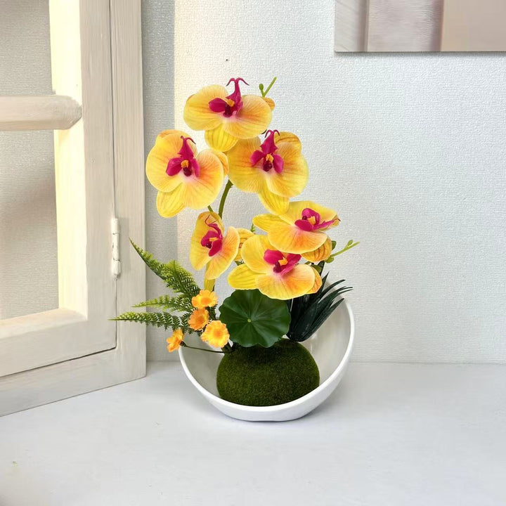 Elegant Orchid Arrangement