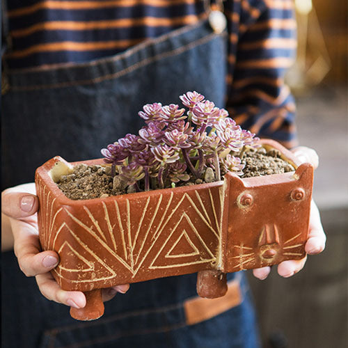 Decorative Plant Bowl Stornfield