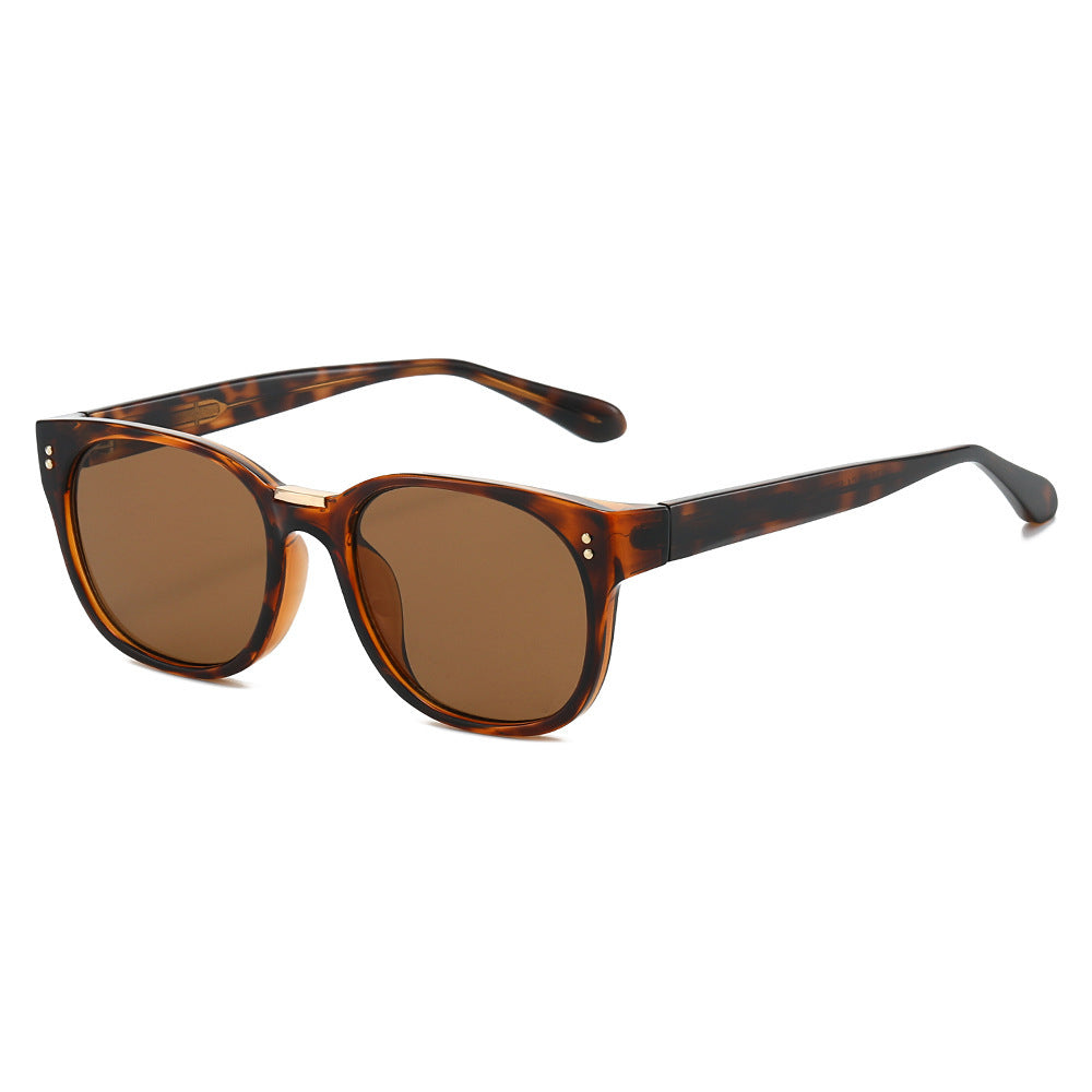 Women's fashionable sunglasses with transparent frame and elegant details Stornfield