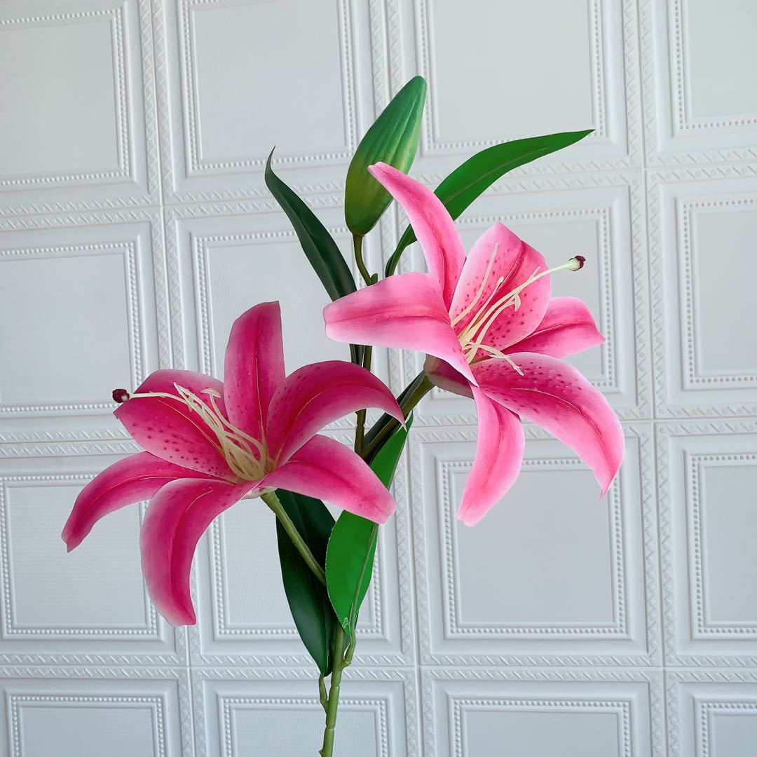 Realistic Floral Lily Stem