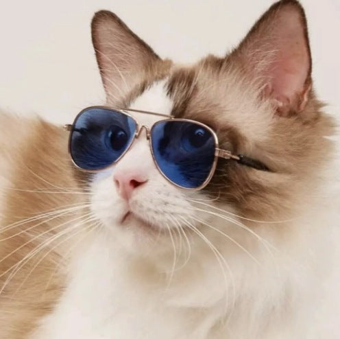 Aviator Style Stornfield Sunglasses