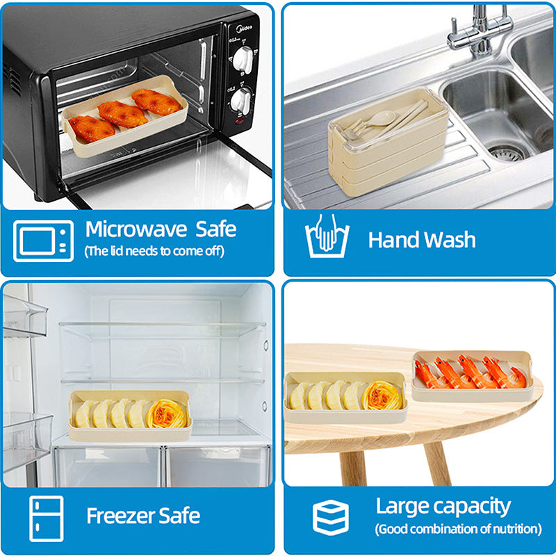 Multi-Compartment Bento Lunch Box