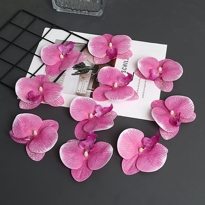 Decorative Orchid Petal for Home Decor Display