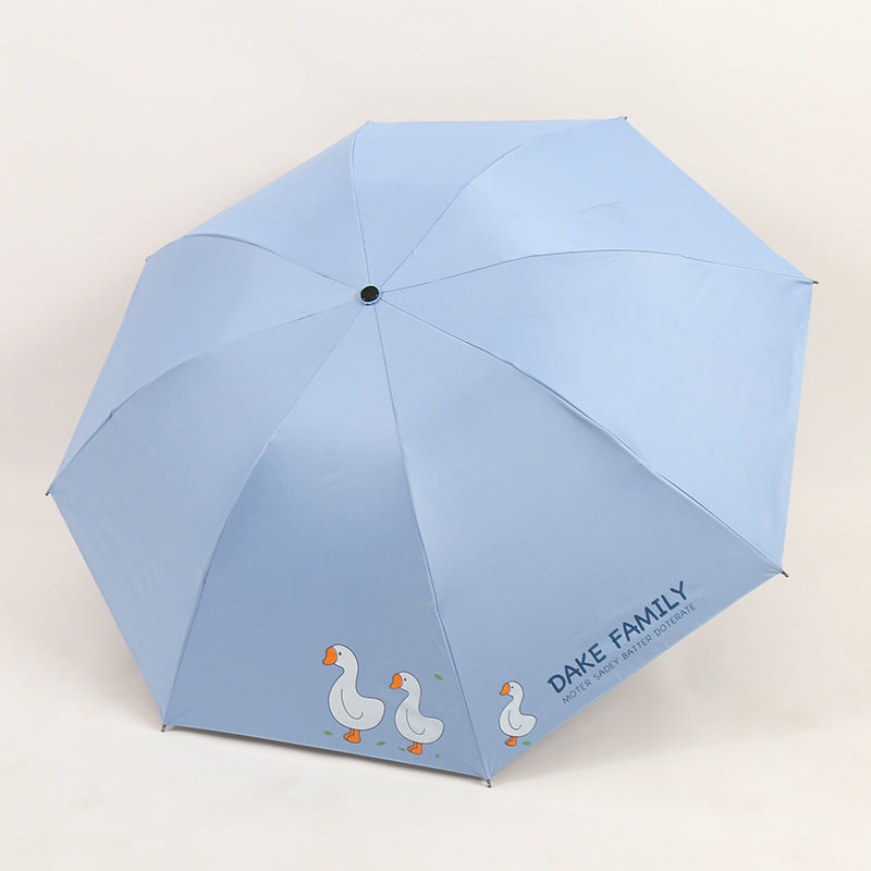 Ladies Umbrella Stornfield